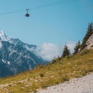 小熊躲猫猫-清爽版