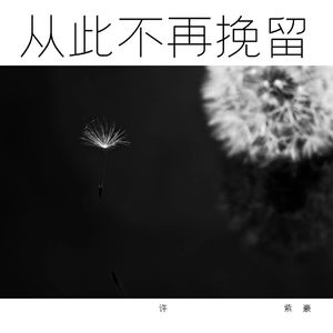 从此不再挽留