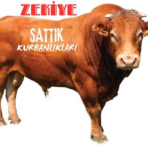 Sattık Kurbanlıkları (Yer Ankarayı)