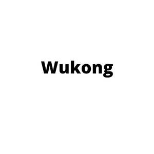 Wukong (Remake)