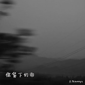 你留下的雨（伴奏）