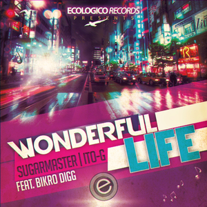 Wonderful Life (Original Mix)