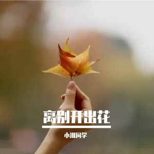 离别开出花（live版）