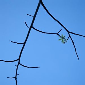 水瓶座 // (No Free）