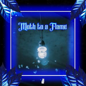 Moth To A Flame