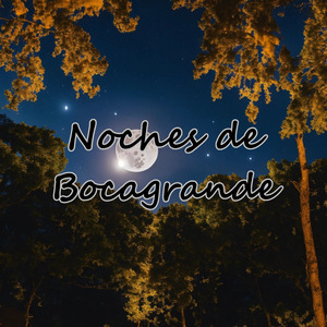 Noches de Bocagrande (En Vivo)