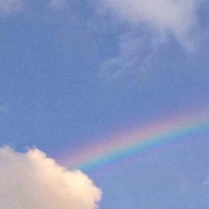 可惜不是你（Cover 梁静茹）