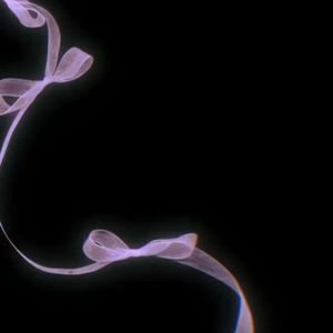 不落为我的眼泪