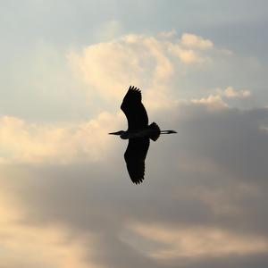 我們什麼都不是… but we are everything ∼ ambient void