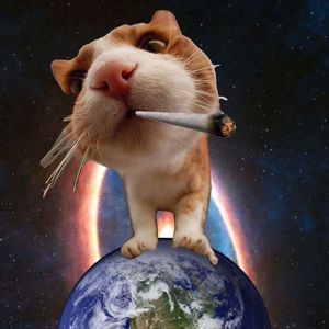 EsDeeKid jerk hoodtrap type beat - "冷峻的橘猫"