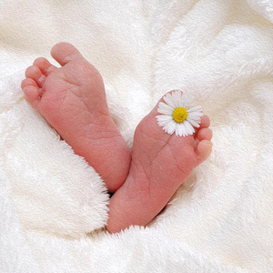 山川里的童话 (宝宝哄睡音乐)