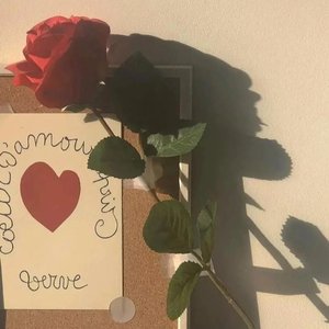 幻想星辰的航线