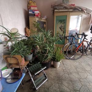 莫听穿林打叶声