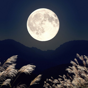 冷たい月あかり