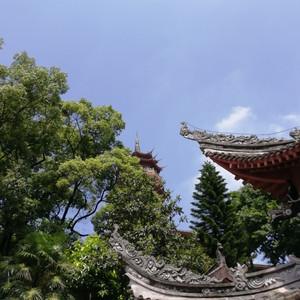 少年正好