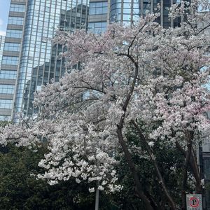 转啊转