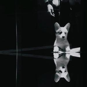 下雪的时候想见你