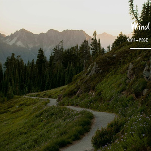 Wind