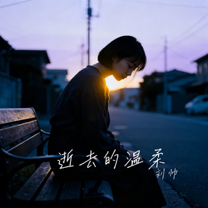 逝去的温柔
