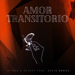 Amor Transitorio (feat. Kevin Bronx)