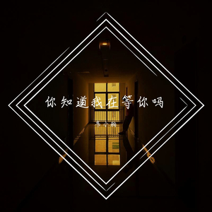 你知道我在等你吗