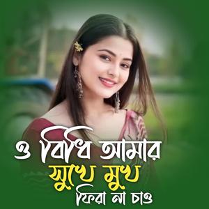 ও বিধি আমার সুখে মুখ ফিরা না চাও