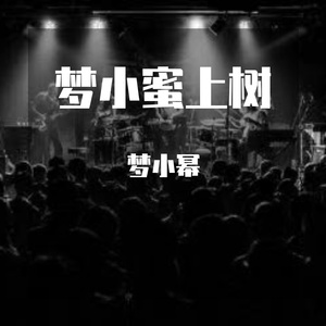 小蜜上树
