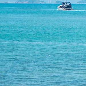 不知疲倦的肩膀