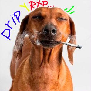 Drip & Rip (feat. Anarxy)