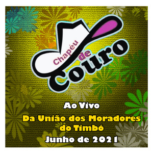 Ganhei na loteria - CHAPÉU DE COURO