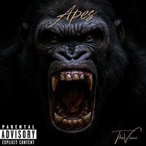 Apes