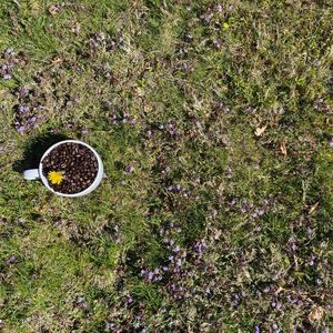 Coffee Grinder (Quarantine Demo)