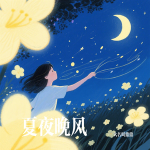 夏夜晚风