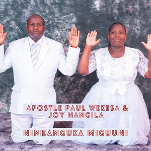 Nimeanguka Miguuni
