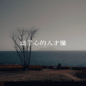 动了心的人才懂