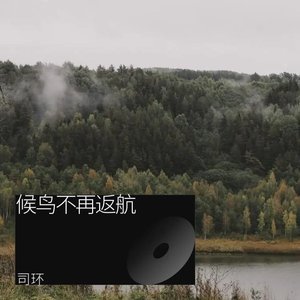 候鸟不再返航
