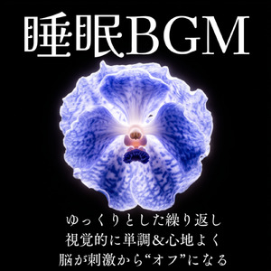 睡眠BGM