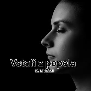 Vstaň z popela