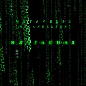 MetaVerse (Mr. Anderson)