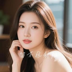 留不住斜阳 (Cover 韩宝仪)