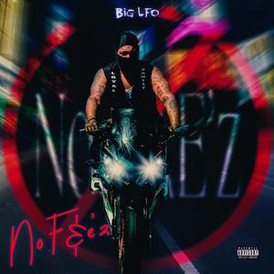 Big_LFO No F&E'z