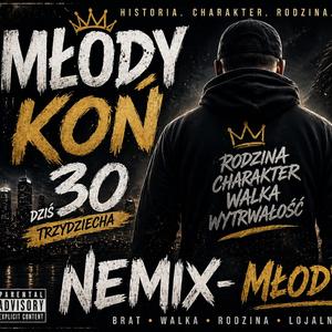 NEMIX-MŁODY KOŃ (SIWY)