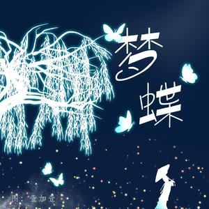 梦蝶