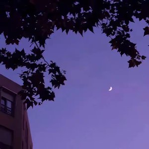 明天也想见到你