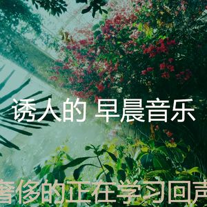 微妙的正在学习心情