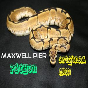 Python