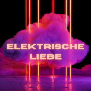 Elektrische Liebe