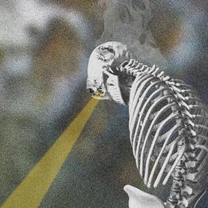 GREEN (feat. JR SPECS & OkayHank)