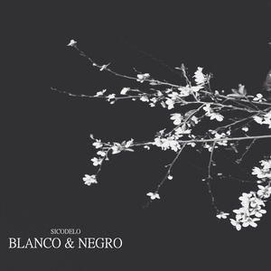 Blanco & Negro