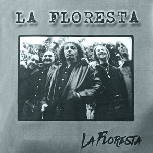 Matorrales en flor